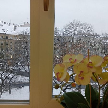 Apartment On Historical Center Of Lwów Zewnętrze zdjęcie